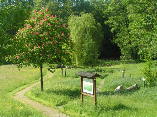uebersicht